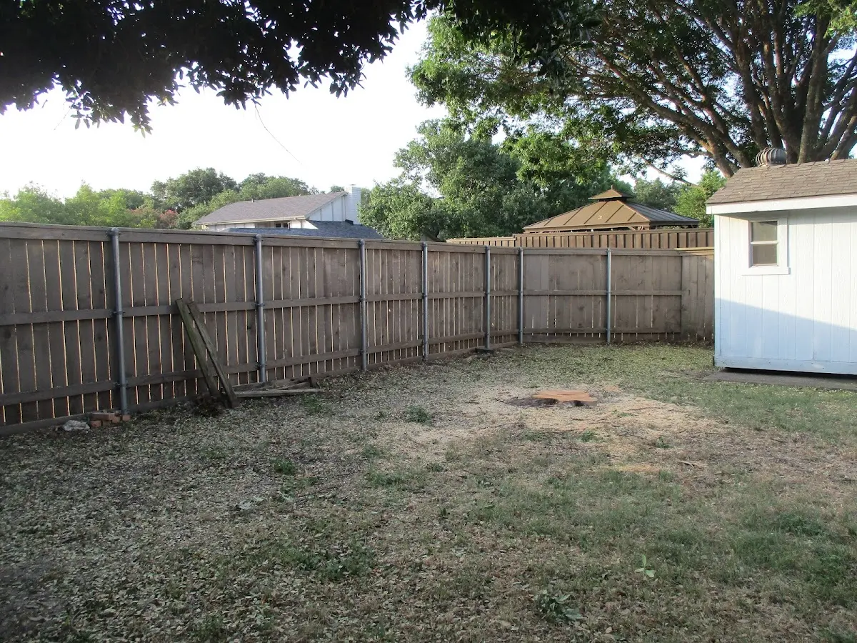 Cleared yard after professional tree removal in Aline